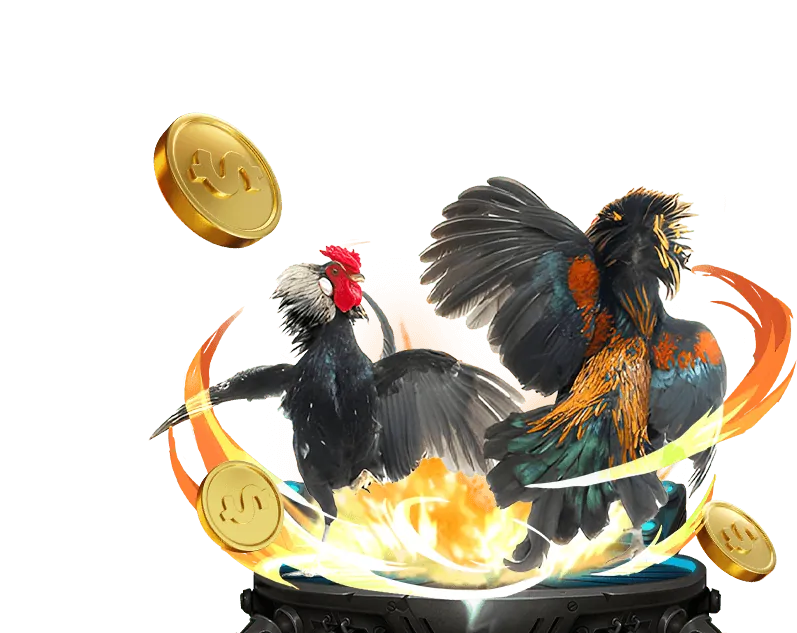 Đá gà trực tuyến Campuchia