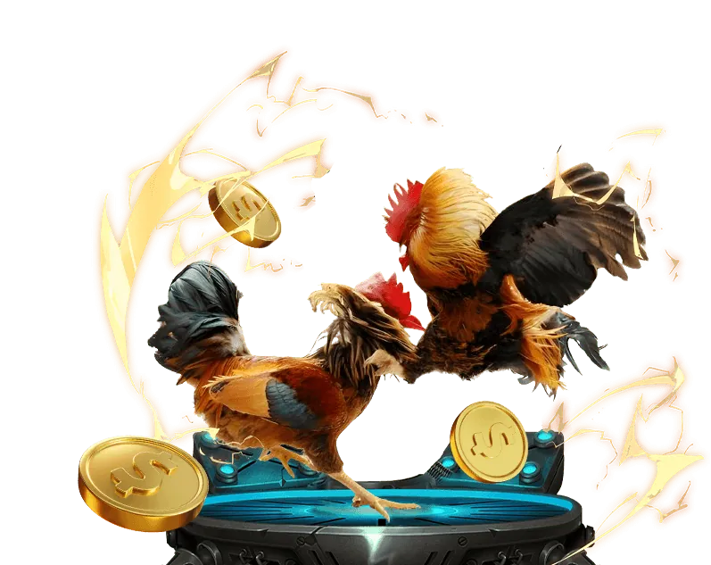 Biểu tượng quản lý tài khoản dễ dàng trong ứng dụng đá gà